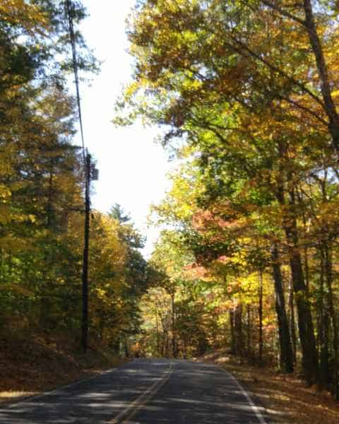 Fall Foliage in Barrington from Lisa Hoffman