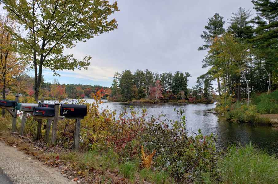 Fall Foliage in Barrington, New Hampshire