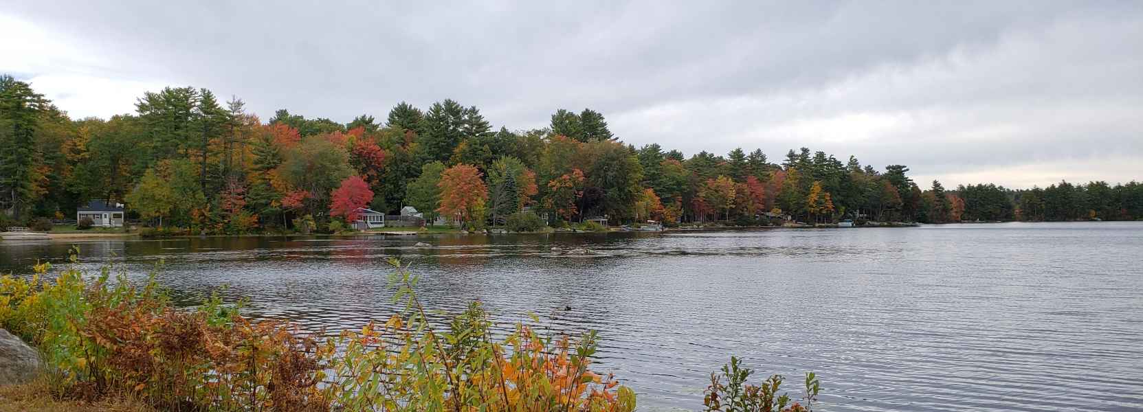 Fall Foliage in Barrington, New Hampshire