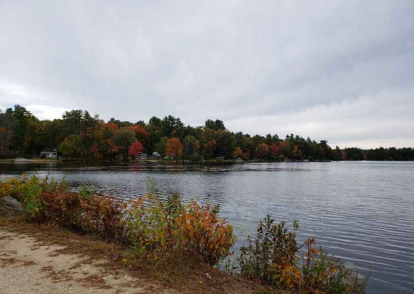 Fall Foliage in Barrington, New Hampshire