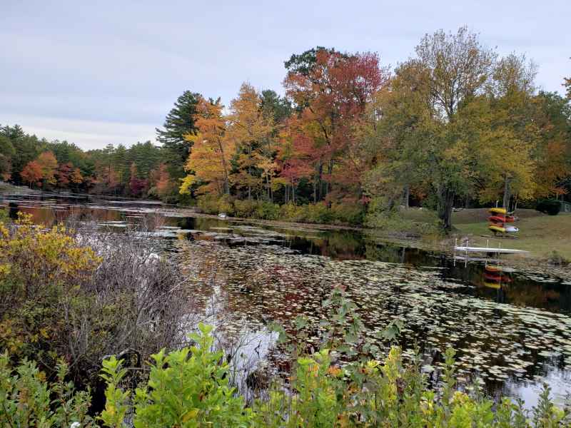 Fall Foliage in Barrington, New Hampshire