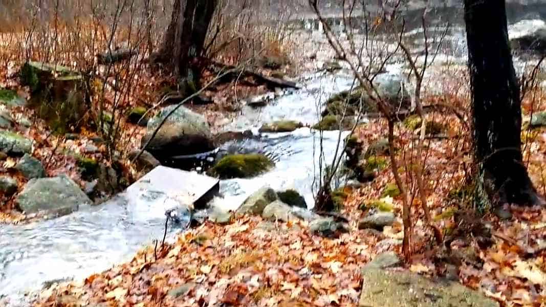 Fall in New Hampshire from Lisa Hoffman