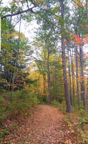 Fall Foliage in New Hampshire from Lisa Hoffman