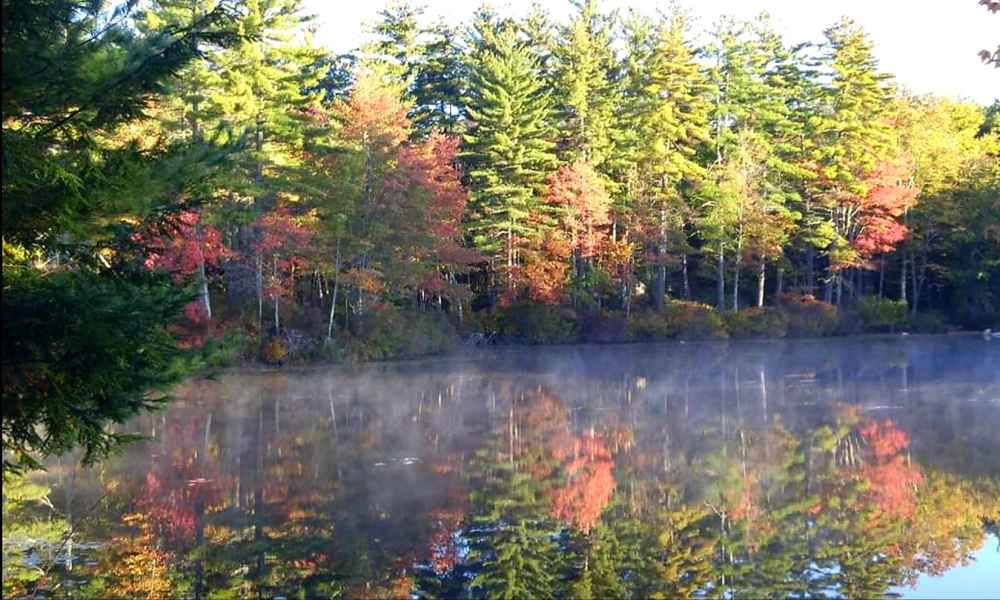 Fall Foliage at the Lake in Barrington