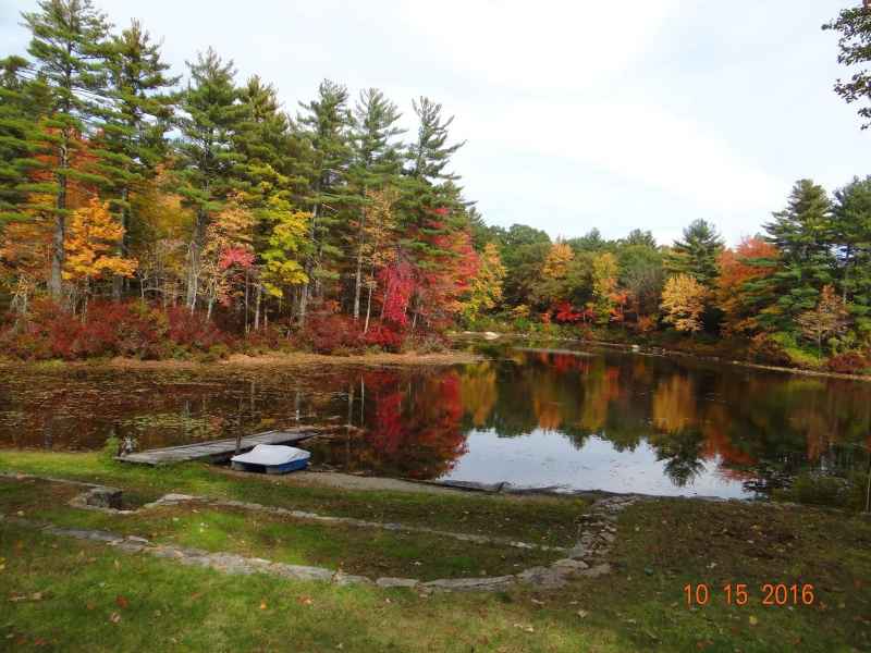 Fall Foliage at the Lake in Barrington from Lisa Hoffman