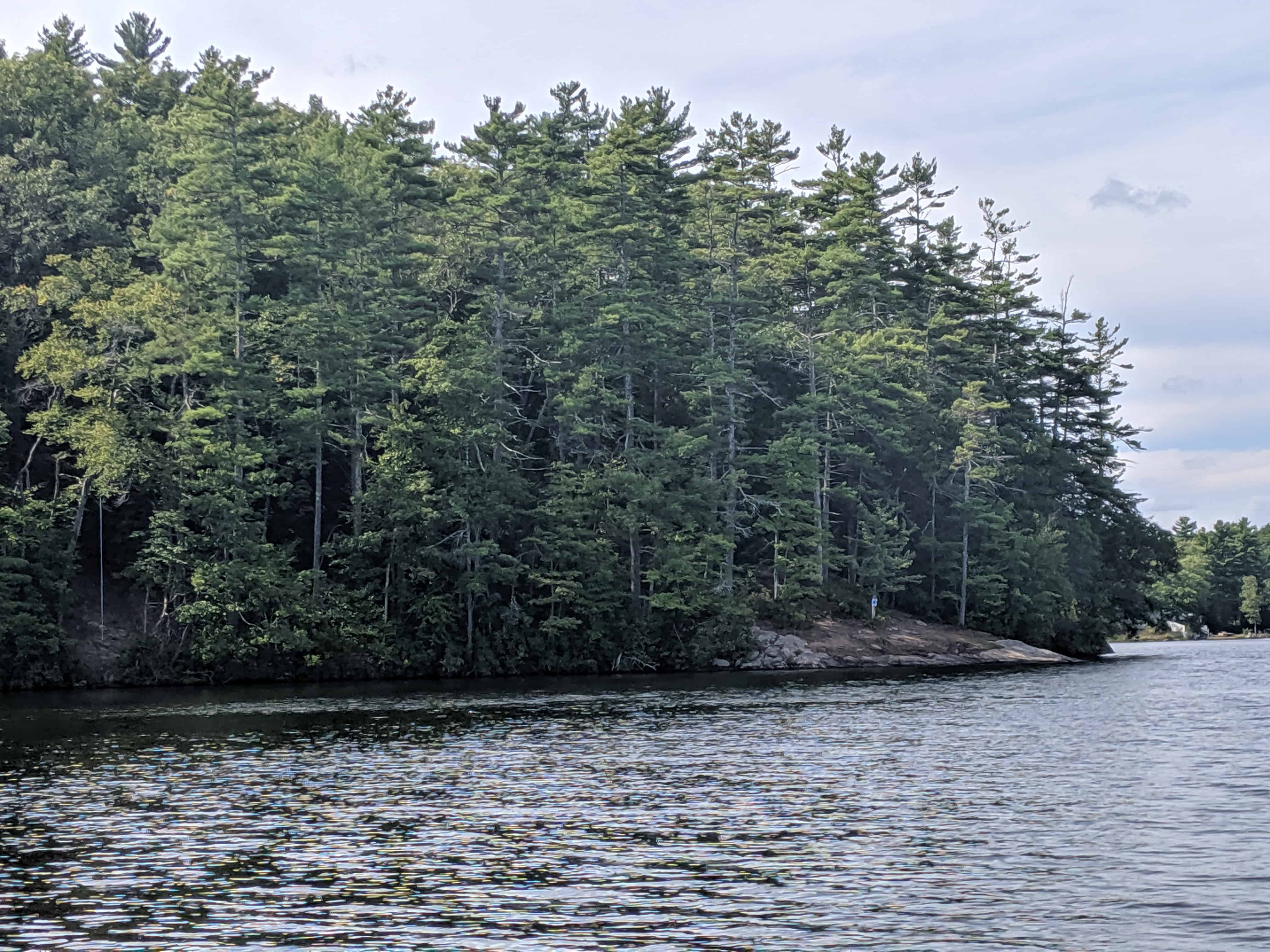 Loon Protection Challenges in Southern NH - Swains Rock