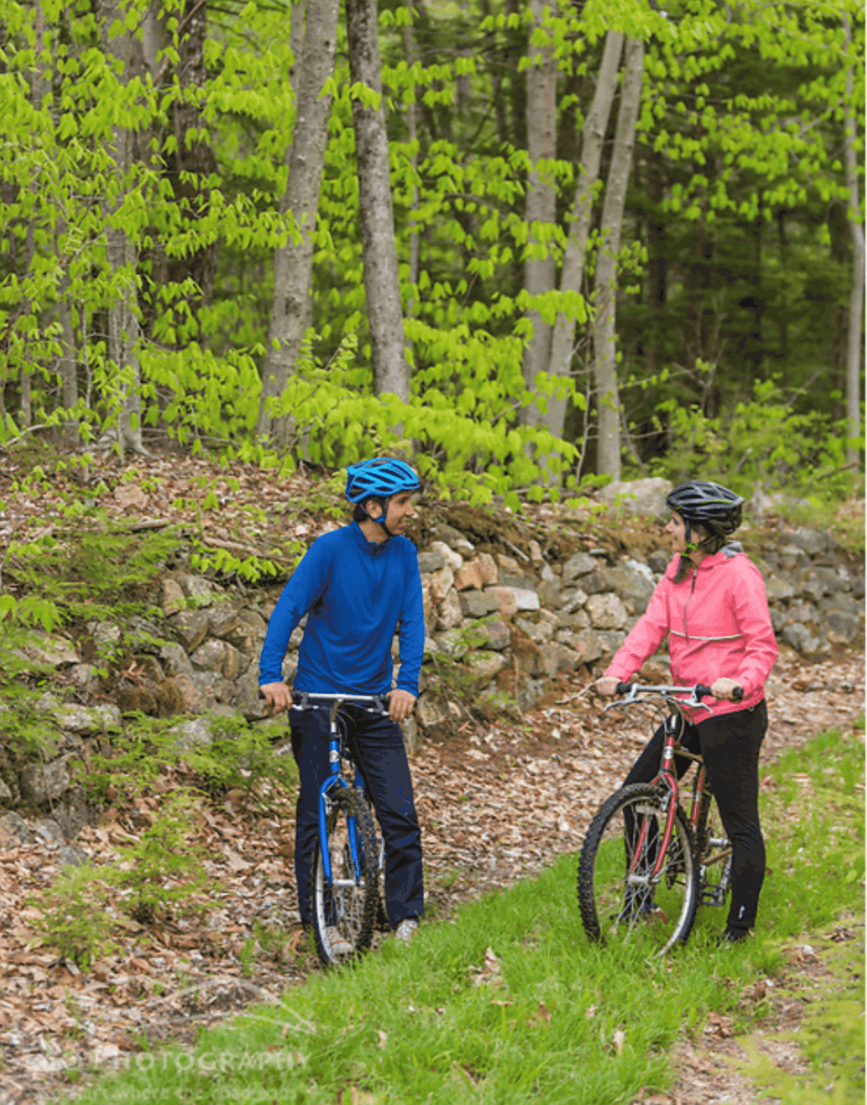 Exploring Stonehouse Forest: Hunting, Fishing, Biking...