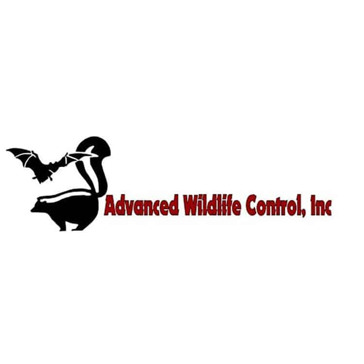 Advanced Wildlife Control